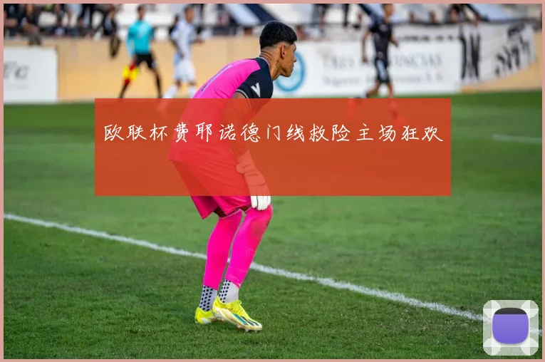 欧联杯费耶诺德门线救险主场狂欢