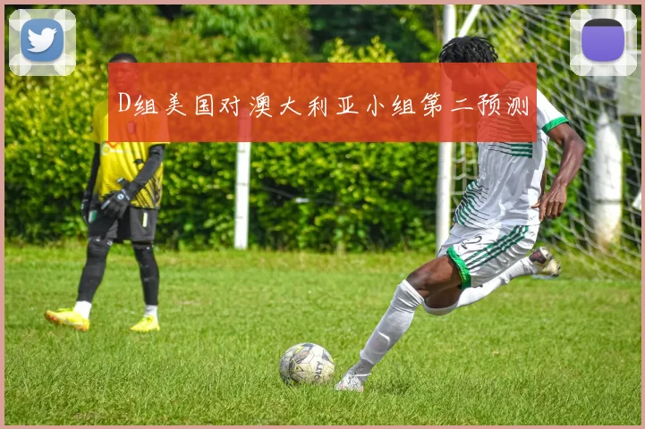 D组美国对澳大利亚小组第二预测
