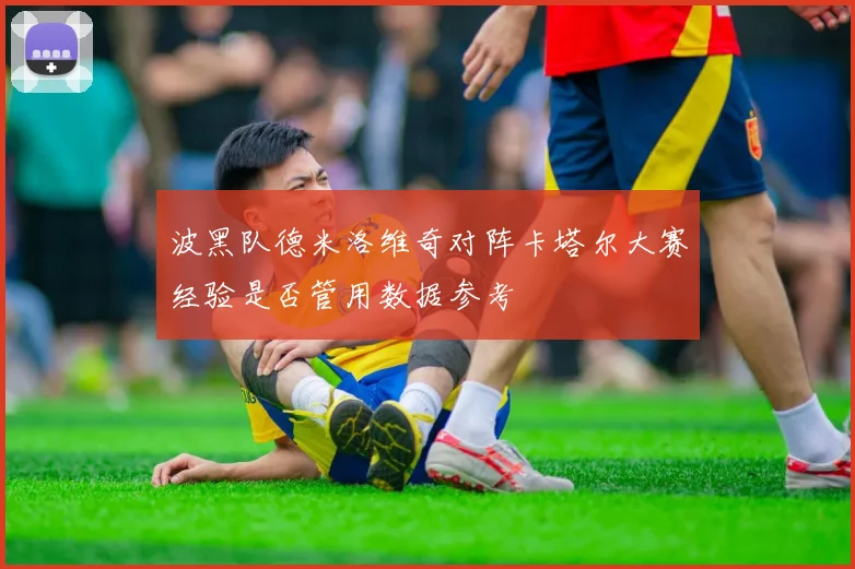 波黑队德米洛维奇对阵卡塔尔大赛经验是否管用数据参考