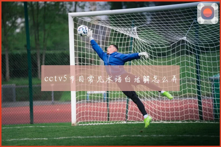 cctv5节目常见术语白话解怎么弄