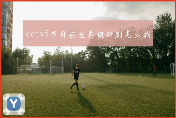 cctv5节目安全真假辨别怎么找